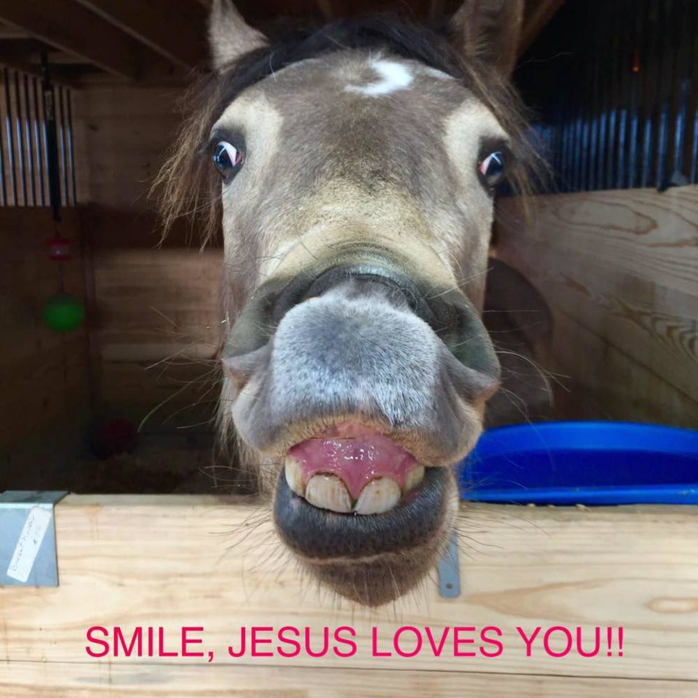 Meet your Posher, Denise